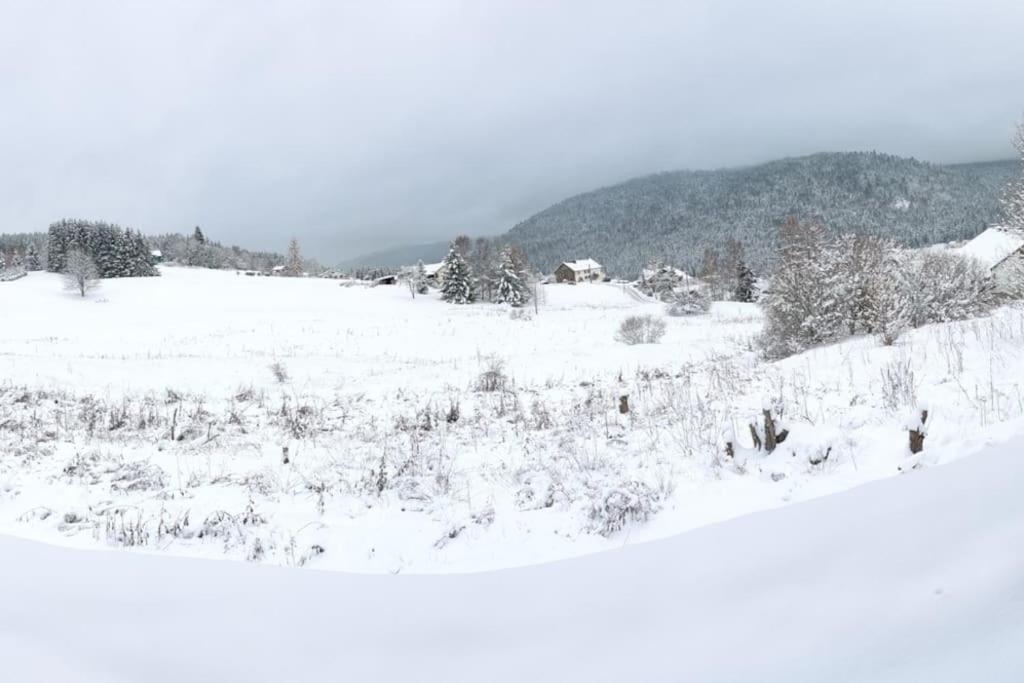 Le Cozy Du Poli Daire Xonrupt-Longemer Dış mekan fotoğraf