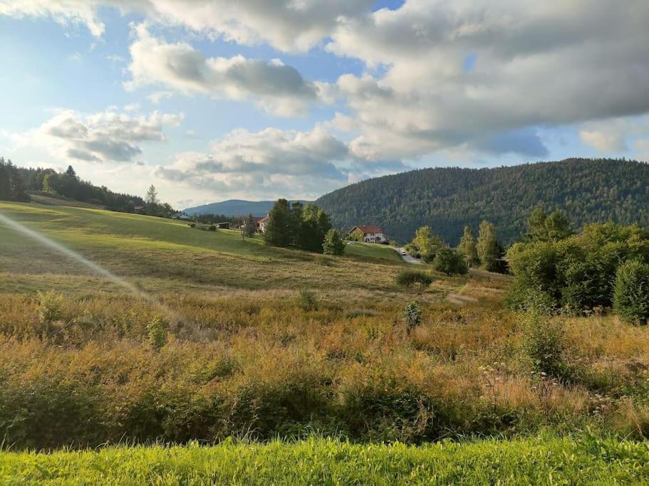 Le Cozy Du Poli Daire Xonrupt-Longemer Dış mekan fotoğraf