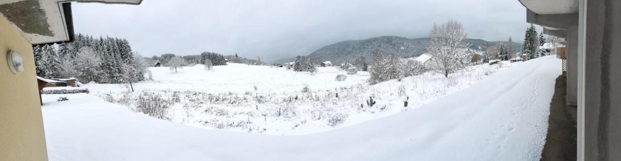 Le Cozy Du Poli Daire Xonrupt-Longemer Dış mekan fotoğraf